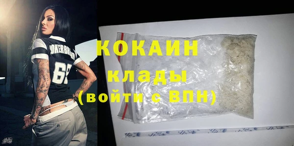 прущие грибы Горно-Алтайск