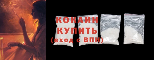 прущие грибы Горно-Алтайск