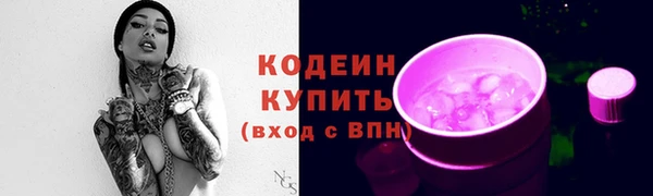 экстази Гусев