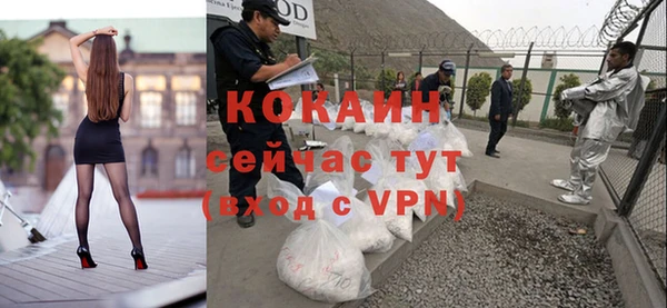 ГАЛЛЮЦИНОГЕННЫЕ ГРИБЫ Вяземский
