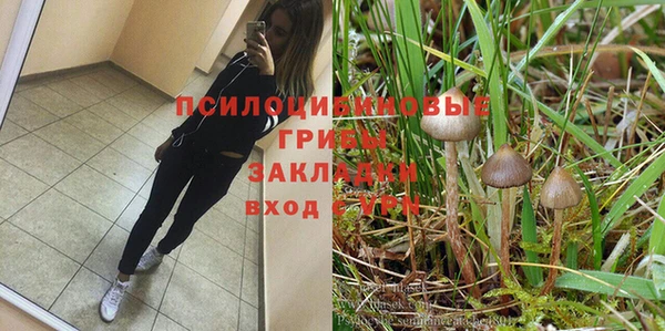 соль ск Гусиноозёрск