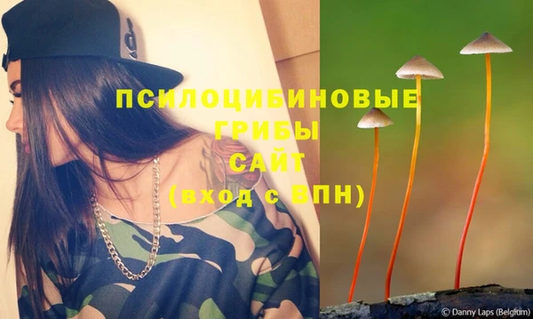 прущие грибы Горно-Алтайск