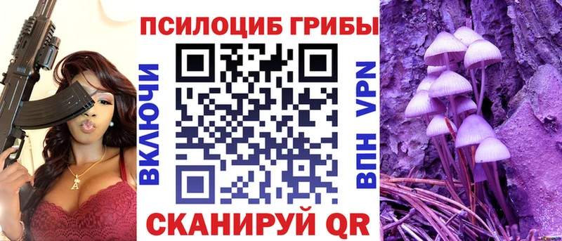 дарнет шоп  это наркотические препараты  Псилоцибиновые грибы Magic Shrooms  Жуков 